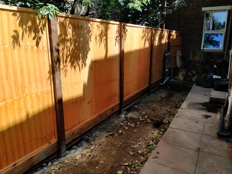 Before