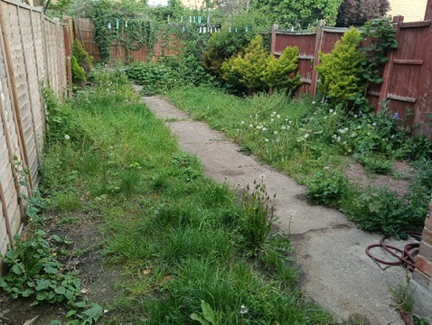 Before